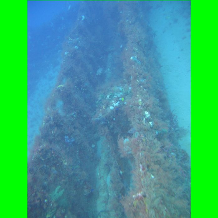 Dive WP Wrecks 25-Oct-09_409.JPG